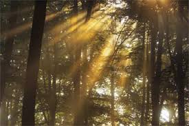 light